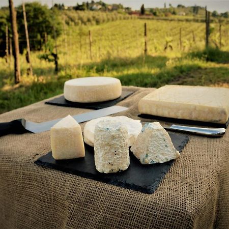 Agriturismo Fattoria Le Caprine Gambassi Terme Εξωτερικό φωτογραφία
