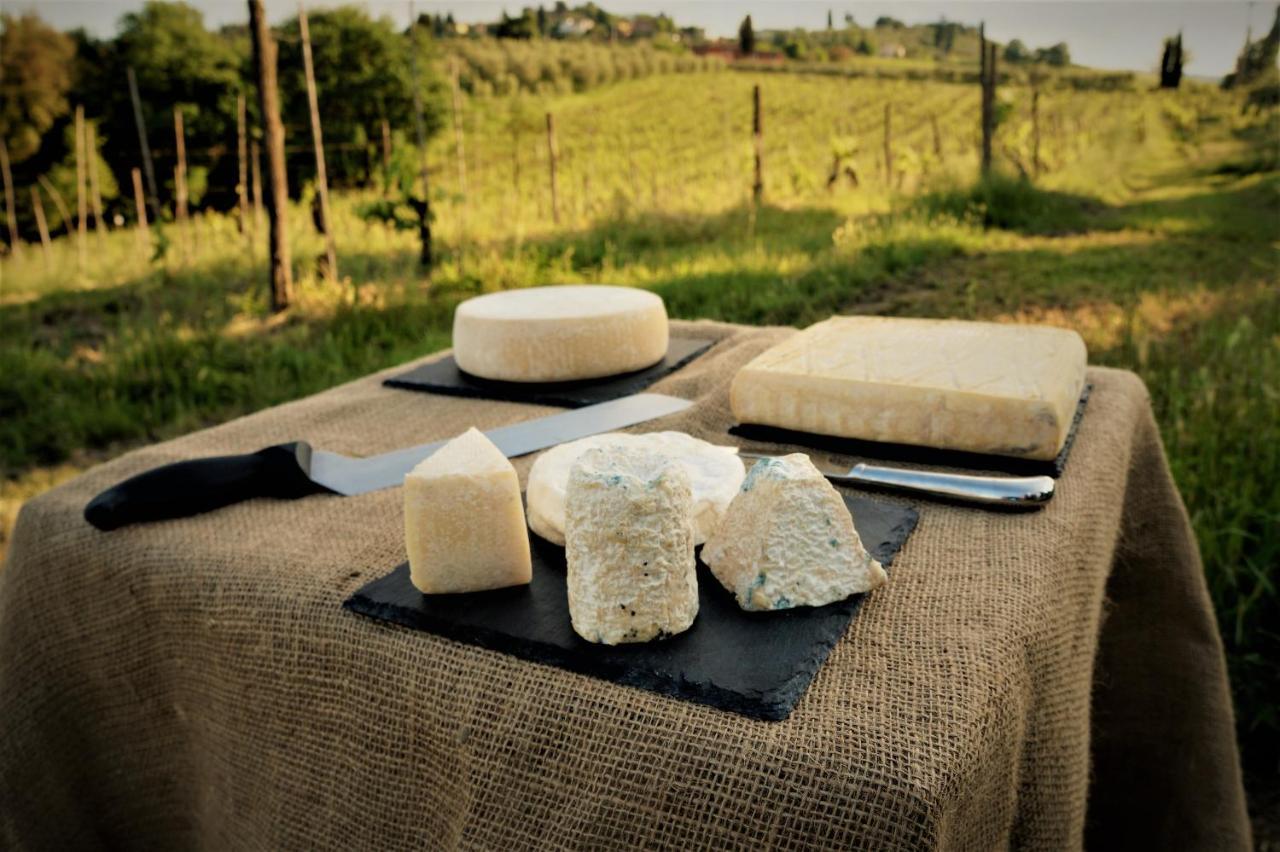 Agriturismo Fattoria Le Caprine Gambassi Terme Εξωτερικό φωτογραφία