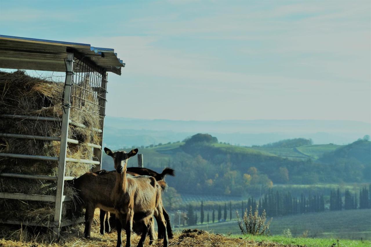 Agriturismo Fattoria Le Caprine Gambassi Terme Εξωτερικό φωτογραφία