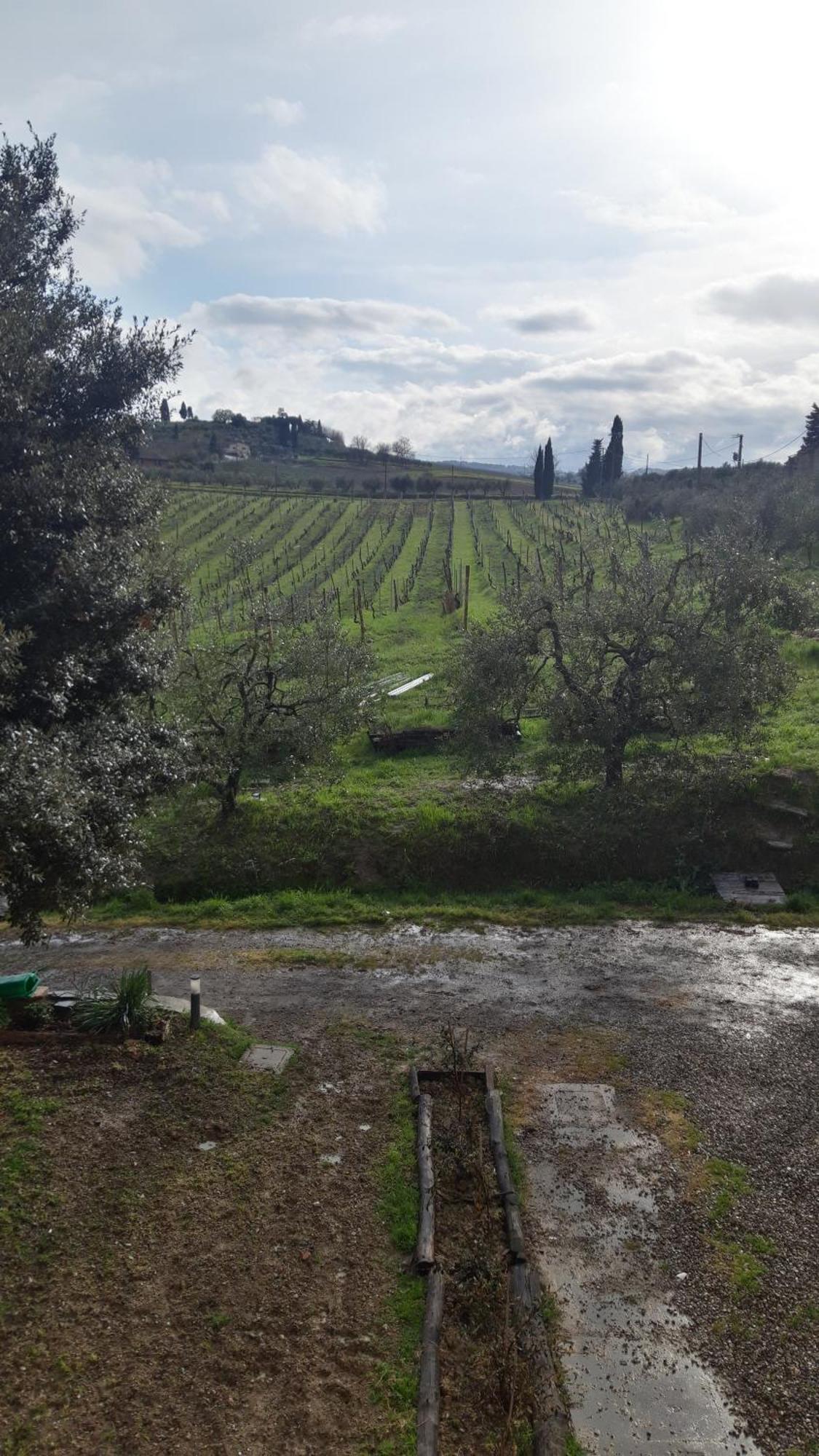 Agriturismo Fattoria Le Caprine Gambassi Terme Εξωτερικό φωτογραφία
